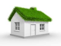 Verlaag jouw energiekosten dankzij een groen dak