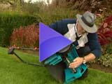 video bekijken