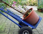 Kuipplanten overwinteren