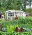 De moestuin in oktober