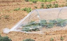 De moestuin in november