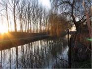 Uw tuin eind december- begin januari