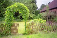 Hoeveel compost heeft je tuin nodig ?