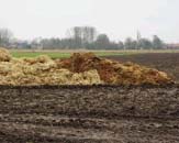Meststoffen in de groententuin