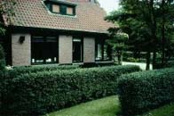 Februari: Spelen met groene tuinblokken