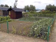 De moestuin in april
