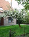 De tuin in de eerste week van mei