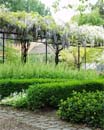 De tuin in de derde week van mei