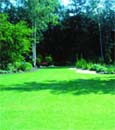 Uw tuin in de derde week van juni