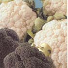 Tuintips: De moestuin in september