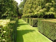Uw tuin in de tweede week van september