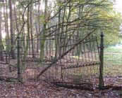 Uw tuin in de derde week van november