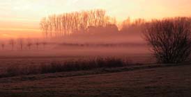 Uw tuin eind november- begin december
