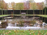 Uw tuin in de tweede week van december
