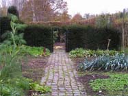 Uw tuin in de derde week van december