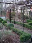 Uw tuin in de tweede week van januari