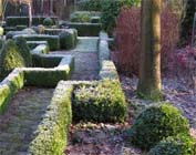 Uw tuin in de derde week van januari
