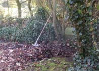 Uw tuin in de tweede week van februari