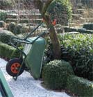 Tuintips voor de tweede week van maart