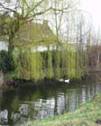 De tuin eind maart, begin april