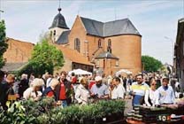 Plantenbeurs Hombeek