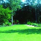 Uw tuin in de derde week van juni