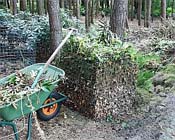 Uw tuin in de derde week van oktober