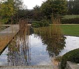Uw tuin de eerste week van november