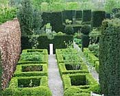 Hagen de groene muren in de tuin