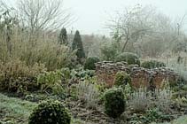 Tuintips voor de derde week van december
