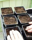 De moestuin in januari