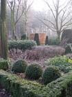 Tuintips voor de derde week van januari