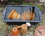 Tuintips voor de eerste week van maart