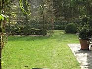 Uw tuin in de vierde week van maart