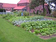 De nieuwe moestuin