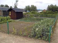 De moestuin in april