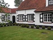 Uw tuin in de derde week van juni