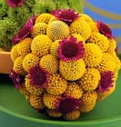 Trend voor de herfst 2006: Animated colours