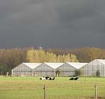 Uw tuin de eerste week van november