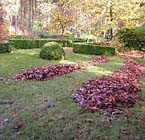Uw tuin in de tweede week van november