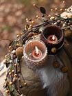 Uw tuin de derde week van december
