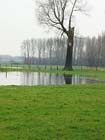 Tuintips voor de derde week van januari