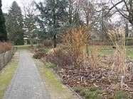 Tuintips voor eind februari