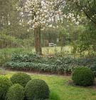 Tuintips voor de derde week van april