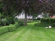Uw tuin in de vierde week van mei