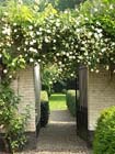 Tuintips voor de eerste week van juni