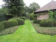 Tuintips voor de derde week van juni