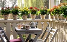 Kamerplanten op het terras
