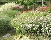 Uw tuin eind september