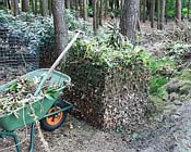 Uw tuin in de derde week van oktober